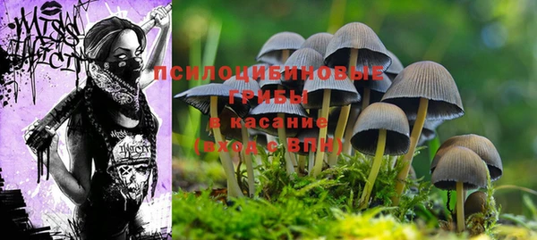 PSILOCYBIN Бронницы