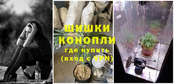 PSILOCYBIN Бронницы
