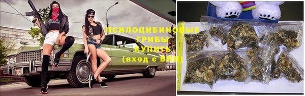 PSILOCYBIN Бронницы