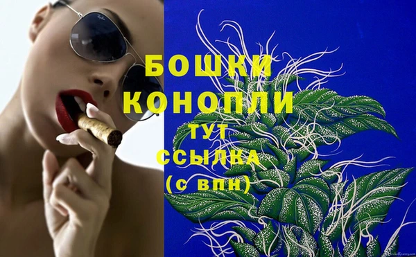 PSILOCYBIN Бронницы