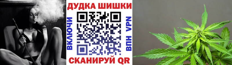 Канабис сатива  Сосногорск 
